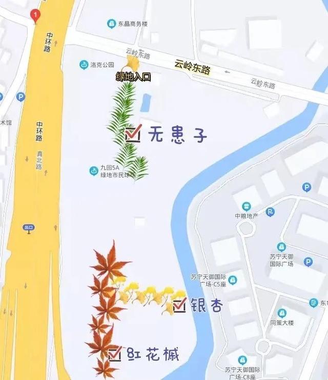 新一波地图来了~除了北美红枫和银杏，普陀还有什么好看？