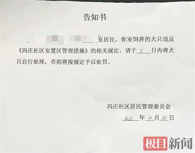 郑州一社区全面禁止养狗引质疑，居委会：不会强行开门捉狗