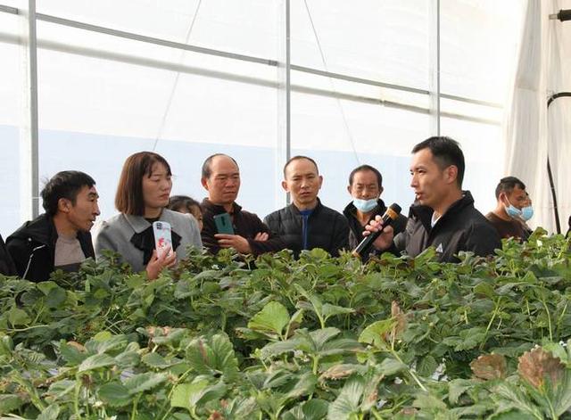 富源县高素质农民技术培训班学员到待补镇交流学习