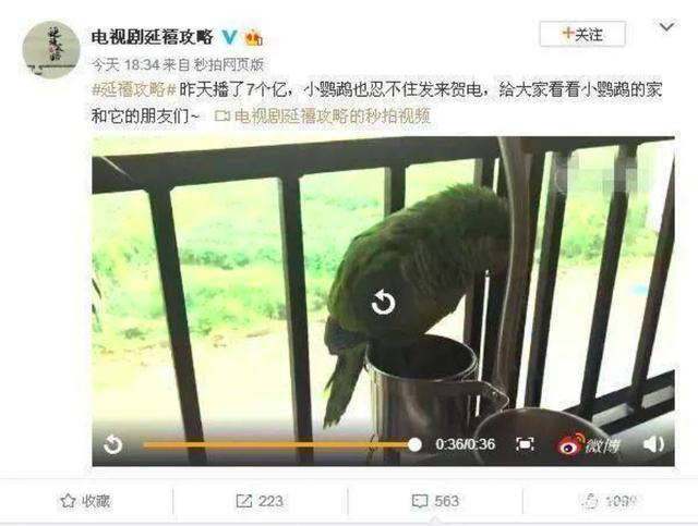 于正新剧《当家主母》否认毒死小猫，网友又质疑剧组的澄清视频是P的：请发猫的现状