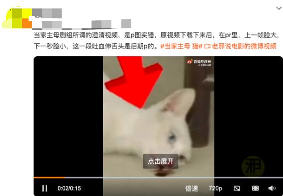 于正新剧《当家主母》否认毒死小猫，网友又质疑剧组的澄清视频是P的：请发猫的现状