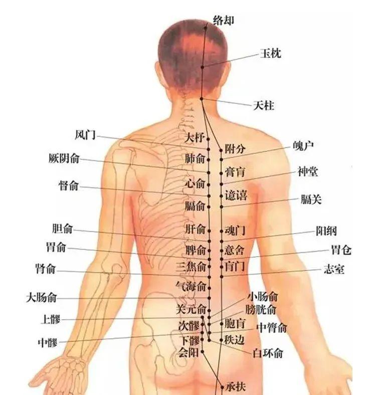 睡着觉做腰部护理有多舒服？试过才知道