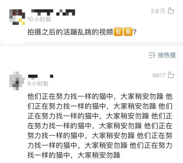 一只小白猫，让《当家主母》的评分一降再降