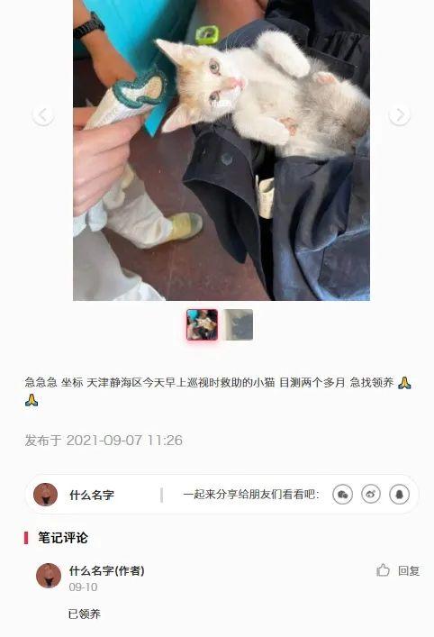 小动物想闯变电站？没那么容易