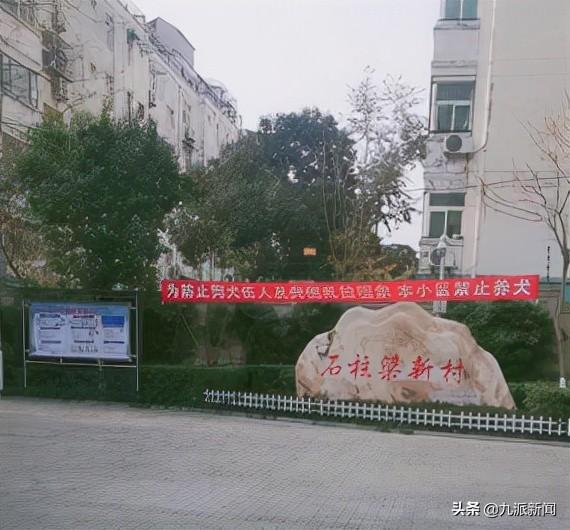 郑州一社区全面禁止养狗，街道办：或按村规民约进行管理