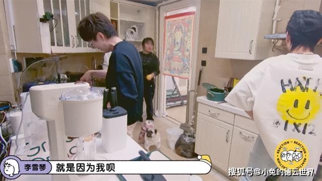 孟鹤堂、尚九熙做客《毛雪汪》，被李雪琴带“跑偏”，满嘴东北味