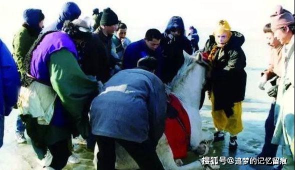 《西游记》秘闻：白龙马无人问津惨死山洞，导演出书痛斥人性