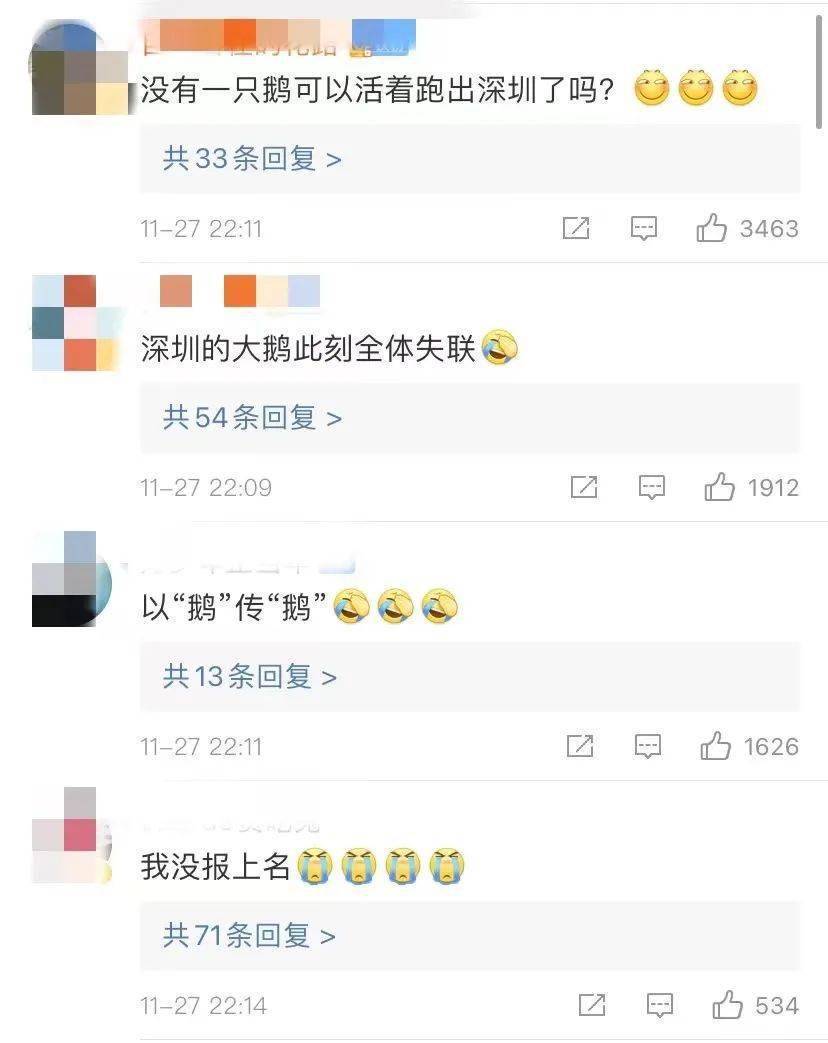 救命！这只鹅也太好吃了吧