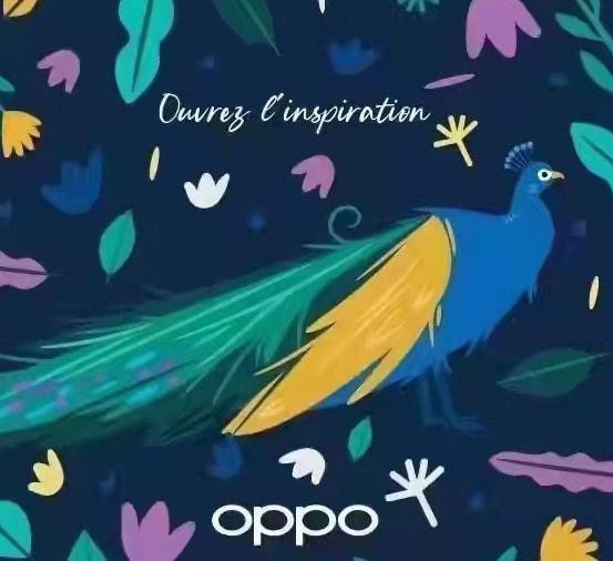 OPPO Find N 系列或将回归：曲面折叠屏、自研芯片、新影像技术等