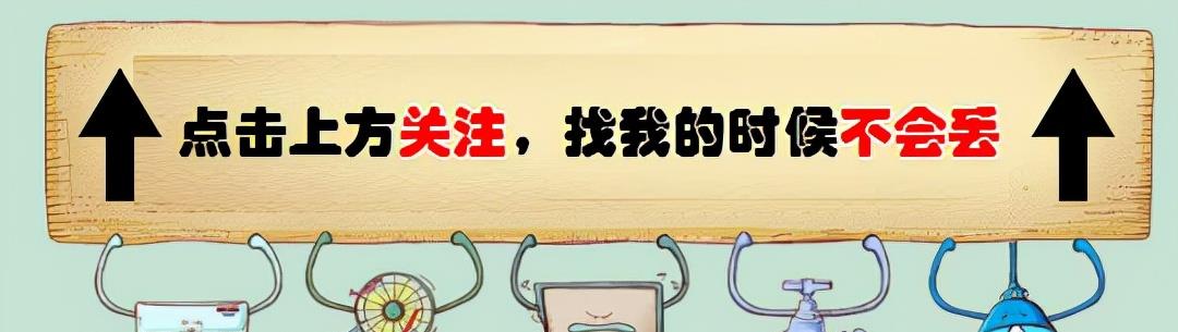 孙俪拍戏救下一头老驴上热搜，在圈内，她是独树一帜的存在