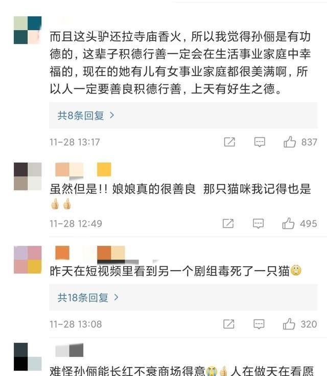 孙俪拍戏救下一头老驴上热搜，在圈内，她是独树一帜的存在