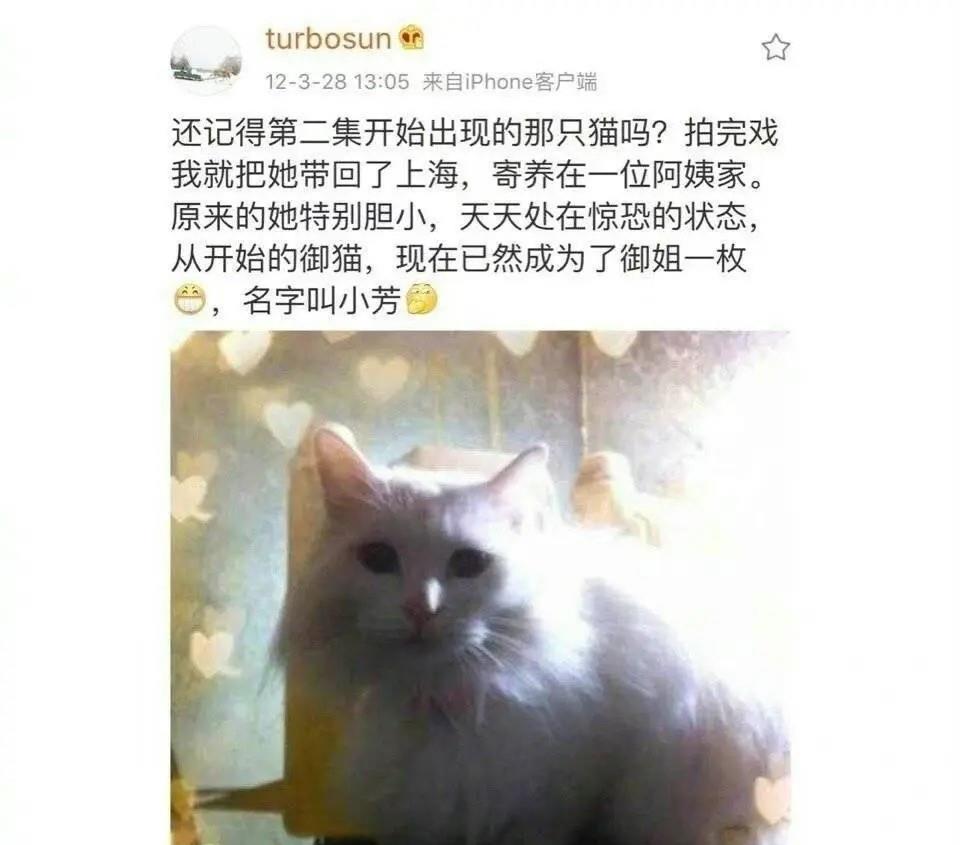 孙俪拍戏救下一头老驴上热搜，在圈内，她是独树一帜的存在