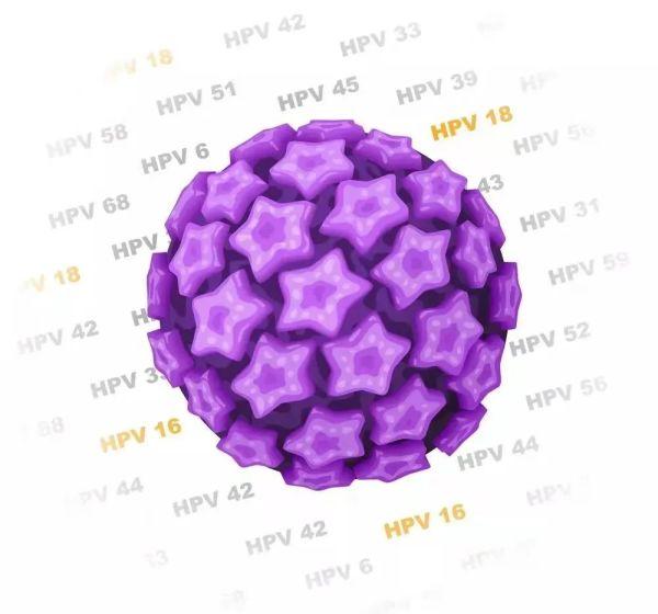 HPV 疫苗怎么选？2/4/9 价区别在这，看完不纠结