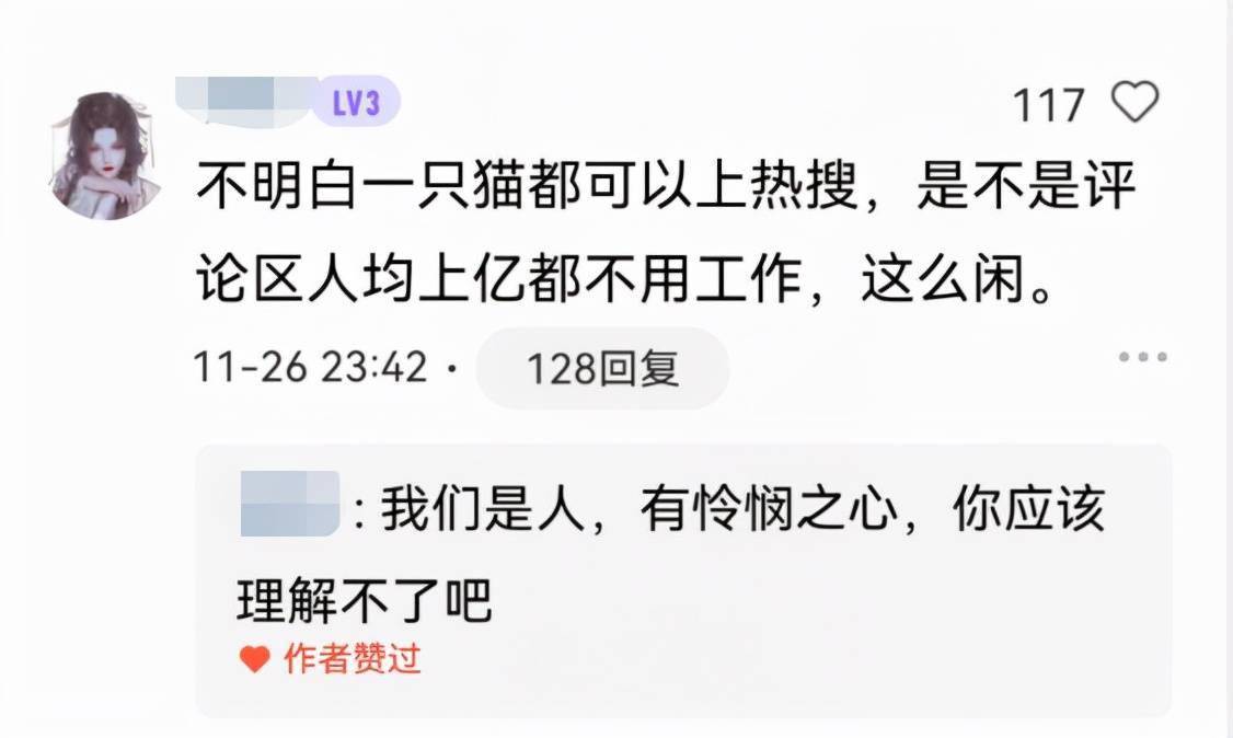 《当家主母》：群演称猫被电亡，拍戏当天就埋了