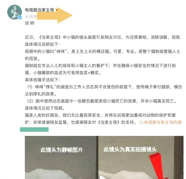 大反转！《当家主母》群演称猫被电死当场就埋了，评分猛跌至2.9