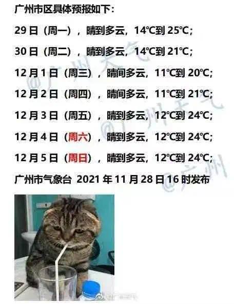 你的冷空气体验卡今晚到货！广东最低7°C