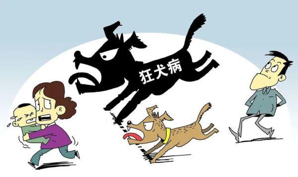 “伤不起”了！养犬不能再任性