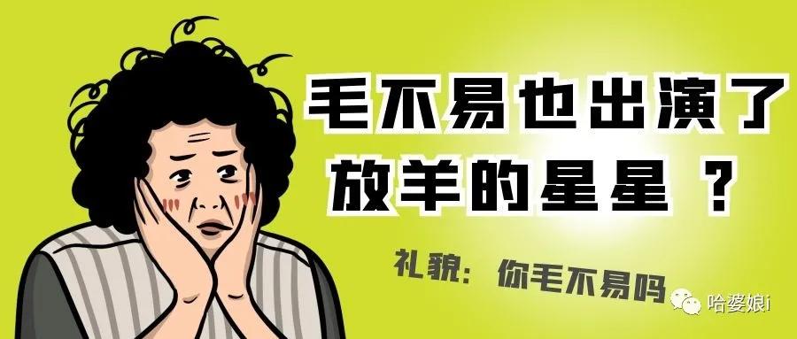 “ 原来毛不易出演了放羊的星星 ？？ ” 哈哈哈毛不易看了想打人