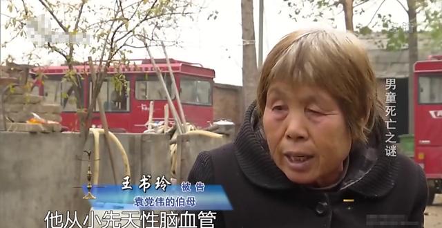 男童遭没栓绳看门狗咬伤身亡，仓促掩埋后索赔13万，狗主人：急着埋孩子是为埋证据！|案件回顾