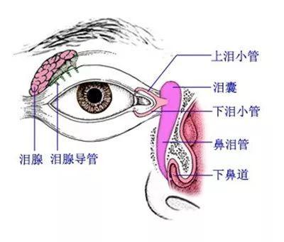 厦门六旬大娘眼角鼓包没在意，最后天天“以泪洗面”！出现这些症状赶紧就医……