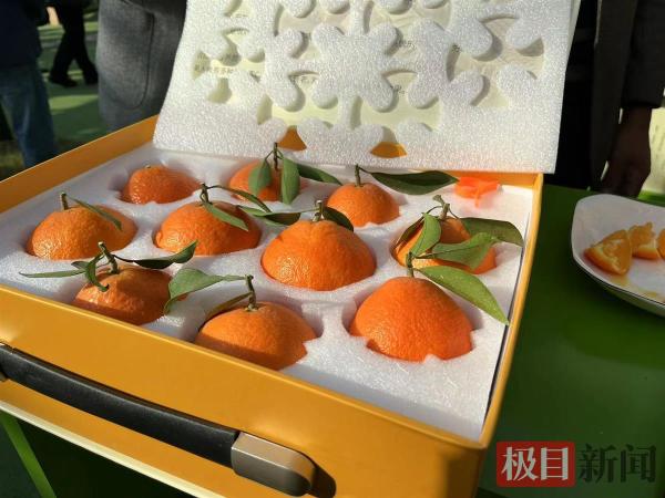 武汉市评选出“十佳农产品”，江夏的莲藕、蔡甸的菜薹、新洲的瓜蒌榜上有名