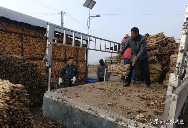 走进长白山区，喜看农民不用“跑山”就让山货走出大山，俏销大江南北