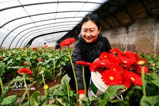 河北迁安：鲜花铺满乡村振兴路