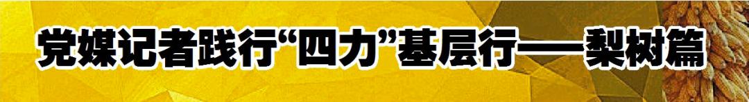 喇嘛甸镇：建设绿美家园 助力乡村振兴