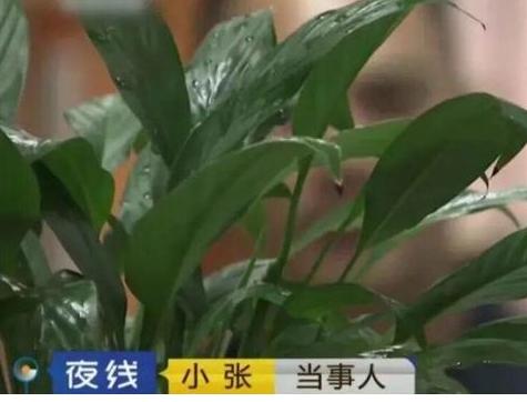 “富婆”招聘“男公关”，不过是一个诈骗套路，值得人们引以为戒