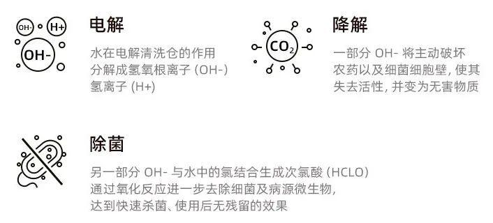 双仓清洗、无线使用，这个果蔬清洗机，能洗掉看不见的农残丨种草机