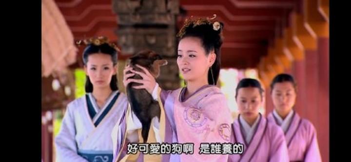 《当家主母》虐猫后，又有群演曝于正《美人心计》打死小狗 圈内人士：剧里的动物多数没有好下场