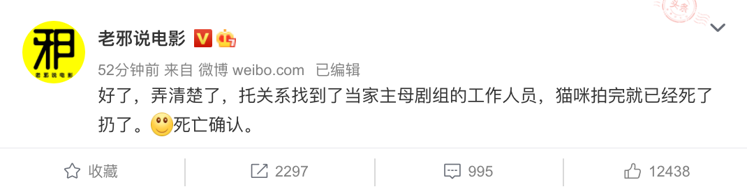 影视剧博主爆料：已确认于正新剧中的白猫死亡，“拍完就死了扔了”