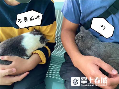 猫言狗语｜叮！亲亲您好，这份宠物接种疫苗攻略请查收