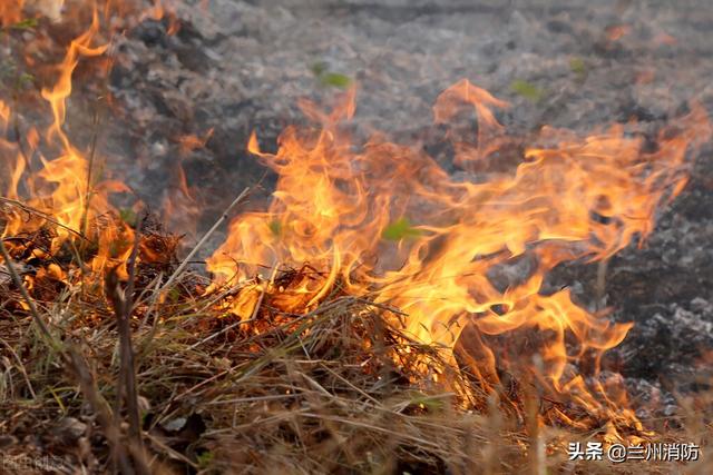 当心“冬天里的一把火”