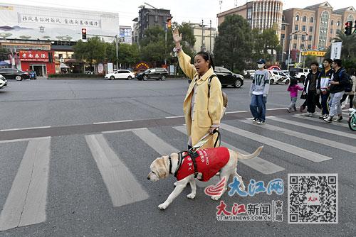 你是我的眼 让我自信地走进世界