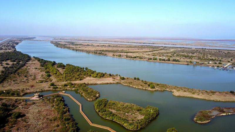 山东黄河三角洲44年修复湿地面积88万公顷年修复湿地面积11..88万公顷