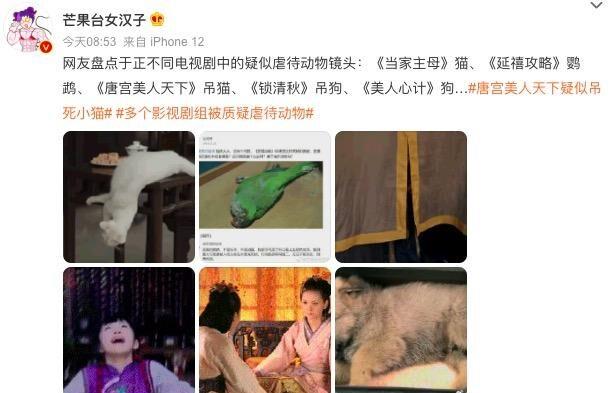 “虐上瘾了？”于正《当家主母》因虐猫评分暴跌，更被爆虐待成瘾