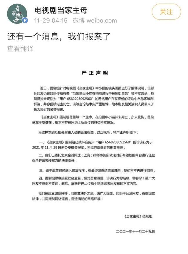 “虐上瘾了？”于正《当家主母》因虐猫评分暴跌，更被爆虐待成瘾