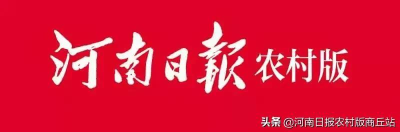 永城市双桥镇：新型农业成为强镇富民的支柱产业