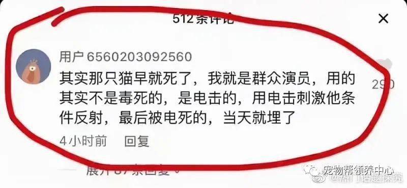 热播剧虐猫事件陷入罗生门，又有群演爆出另一部剧打死了一只小狗...