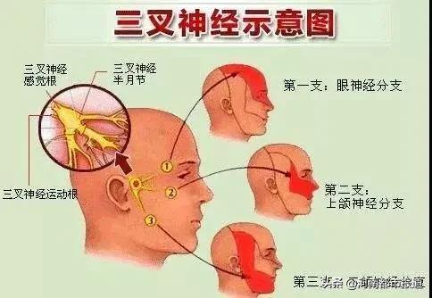 狂扇脸、拔光牙…忍了8年的痛，果然没这么简单