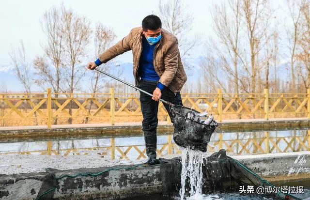 沿着博河看小康 | 温泉县塔秀乡：从寂寂无名到黄金地带