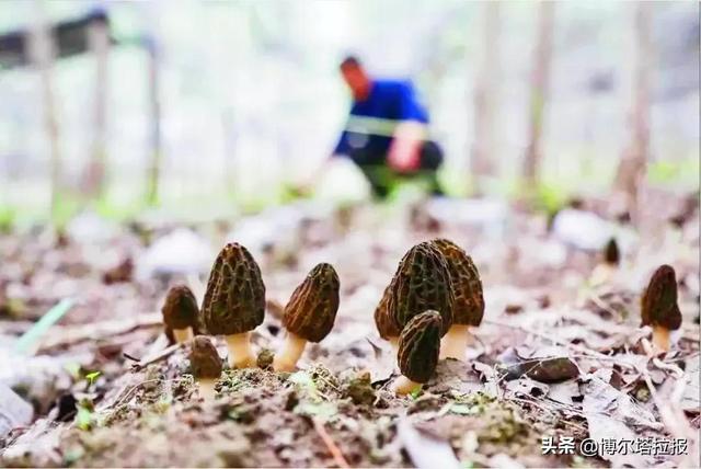 沿着博河看小康 | 温泉县塔秀乡：从寂寂无名到黄金地带