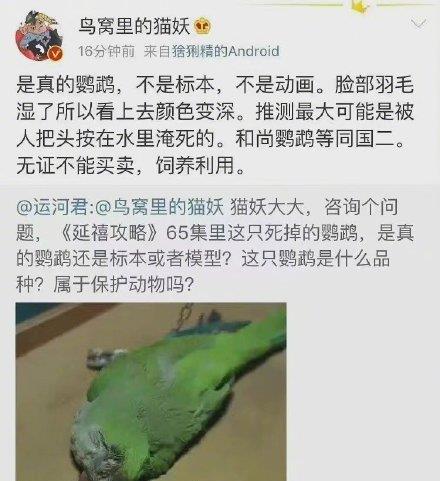 影视剧“为求真实”被曝虐待动物，敢不敢出来走两步？