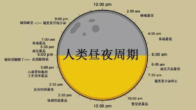 别熬夜了！白天工作学习裂开的DNA，只有睡眠才能修复