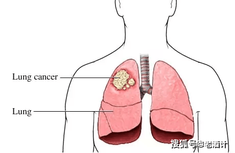 不喝葡萄酒的圣诞节不是完整的圣诞节