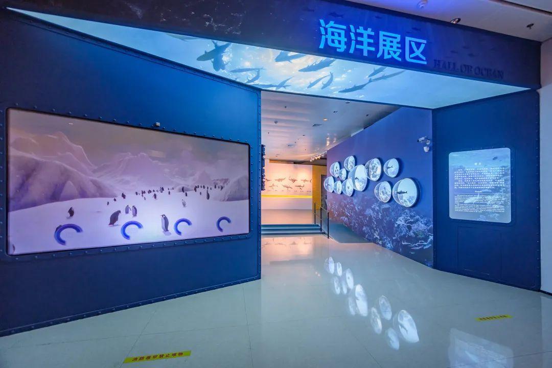 探秘海洋展区 | 来中海博看：极地科考的中国力量！