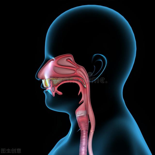 胃酸过多或过少会怎么样？失控胃酸，会腐蚀身体3个部位