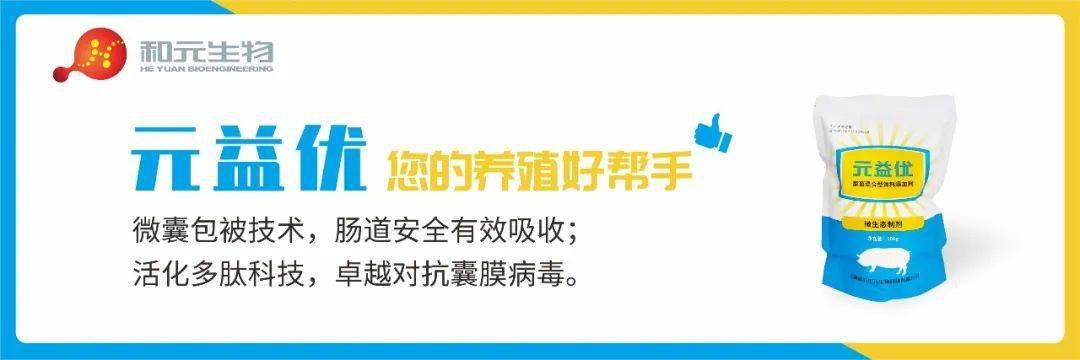 ?干货 | 第九届兽医大会猪业相关专场合集，建议收藏~