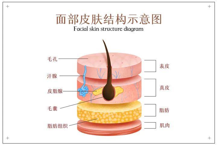 【妮智护肤】宝宝发生皮外伤怎么办？这样做，好的快还不留疤！